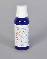 Vita Segment 13 weefsel en cellen 30.00 Milliliter