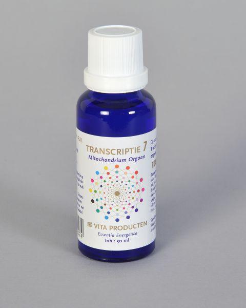 Vita Transcriptie 7 mitochondrium orgaan 30.00 Milliliter