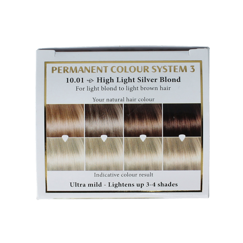 Henna Plus Long lasting colour 10.01 silver blond 100 Milliliter