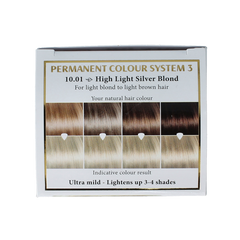 Henna Plus Long lasting colour 10.01 silver blond 100 Milliliter