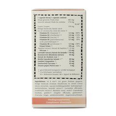 Royal Green Vitamine B complex bio 60.00 Vegetarische capsules