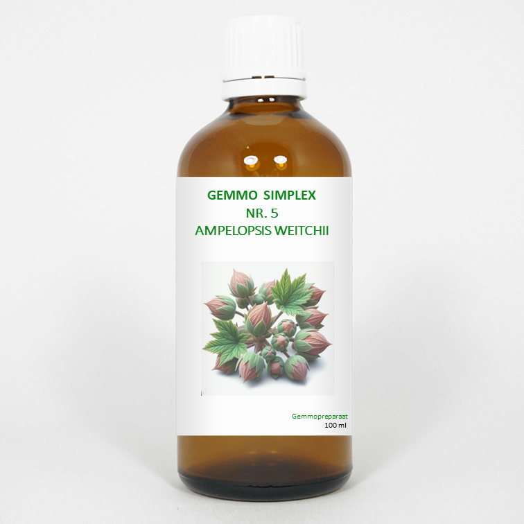 Balancepharma Gemmo simplex 5 ampelopsis weitchii 100 Milliliter