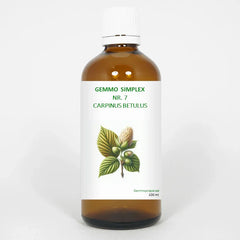 Balancepharma Gemmo simplex 7 carpinus betulus 100 Milliliter