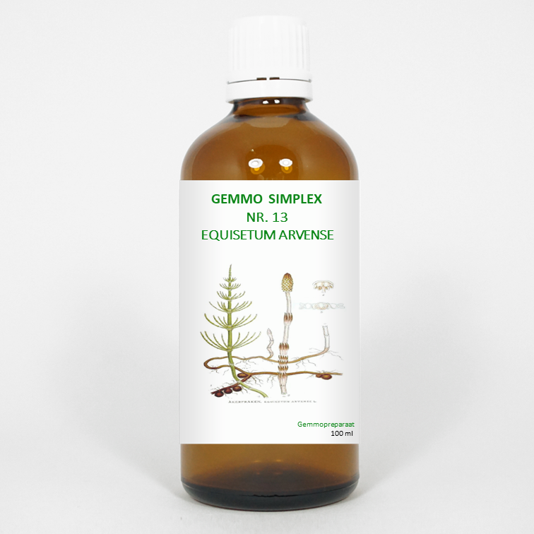 Balancepharma Gemmo simplex 13 equisetum arvense 100 Milliliter