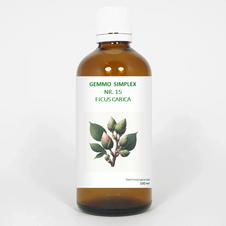 Balancepharma Gemmo simplex 15 ficus carica 100 Milliliter