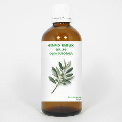 Balancepharma Gemmo simplex 24 olea europaea 100.00 Milliliter