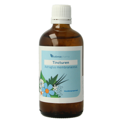 Balancepharma Astragalus membranaceus tincturen 100 Milliliter