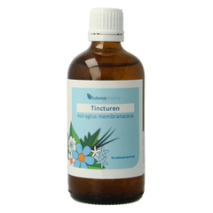 Balancepharma Astragalus membranaceus tincturen 100.00 Milliliter