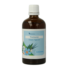 Balancepharma Ribes nigrum tincturen 100 Milliliter