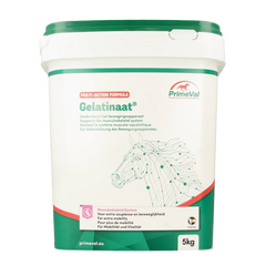 Primeval Gelatinaat paard 5 Kilogram