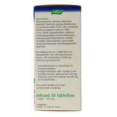 A Vogel Echinaforce tablet sterk & energie 30.00 Tabletten