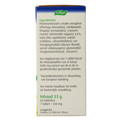 A Vogel Alchemilla gewrichten tabletten 60.00 Tabletten