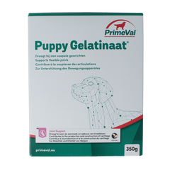 Primeval Gelatinaat puppy 350.00 Gram