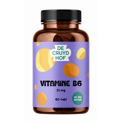 De Cruydhof De Cruydhof Vitamine B6, 60 tabl 60.00 Tabletten