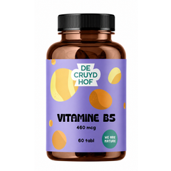 De Cruydhof De Cruydhof Vitamine B5, 60 tabl 60.00 Tabletten
