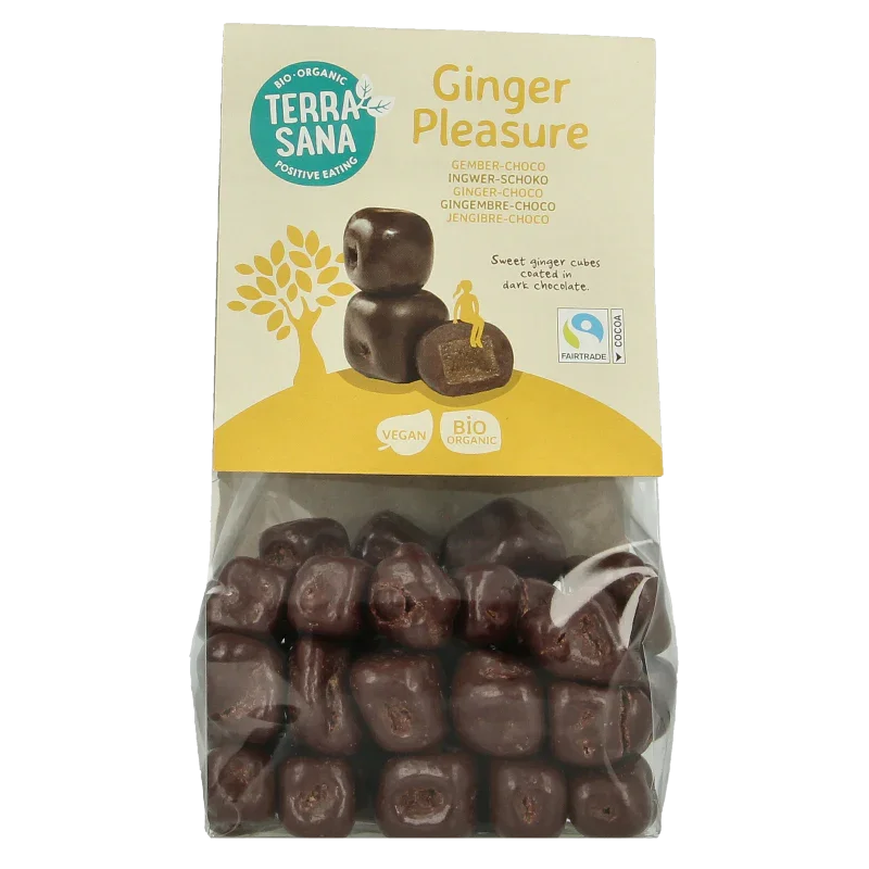 TerraSana Ginger pleasure choco bio 150 Gram