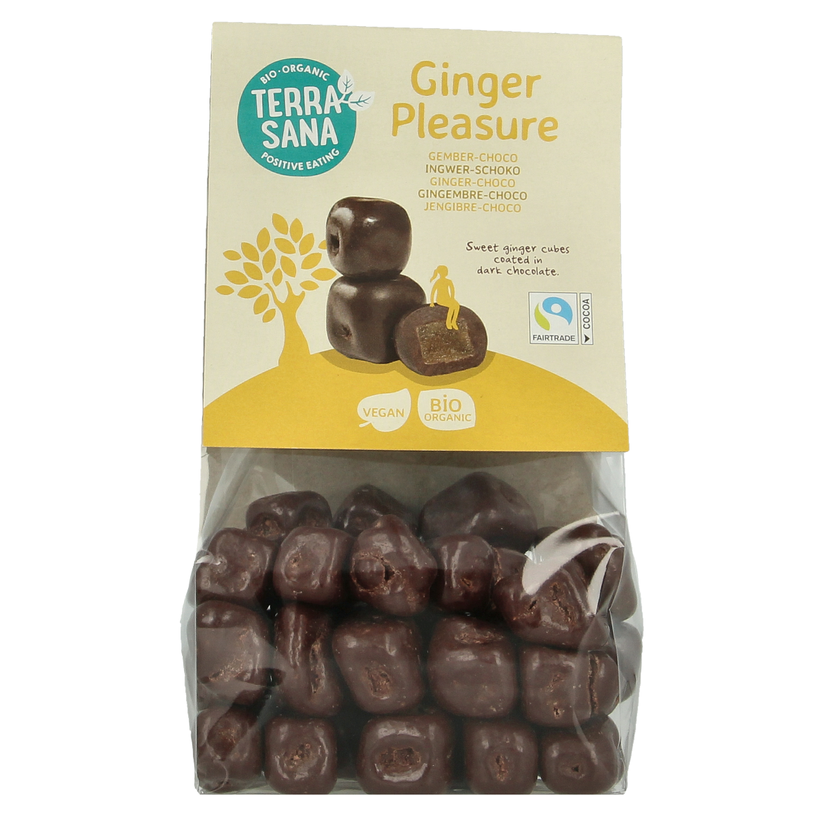 TerraSana Ginger pleasure choco bio 150.00 Gram