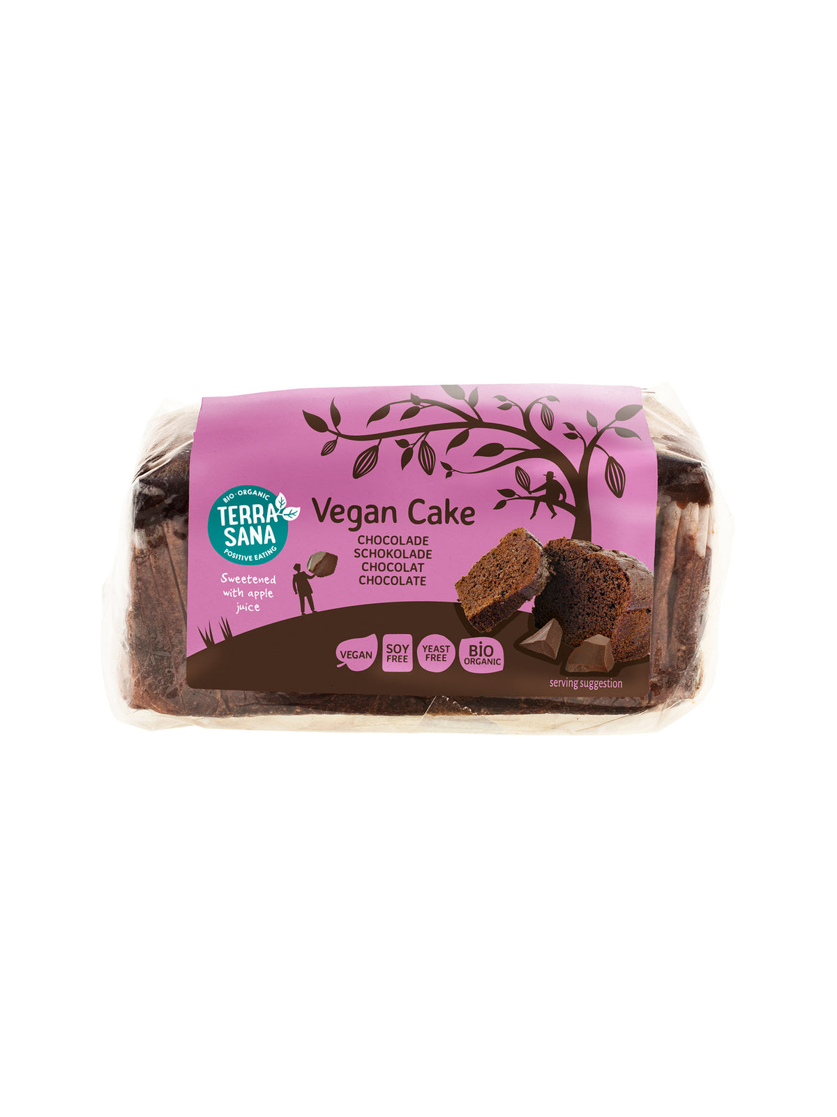 TerraSana Vegan cake chocolade bio 350 Gram