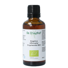 Cruydhof Angelica officinalis/engelwortel tinctuur bio 50.00 Milliliter