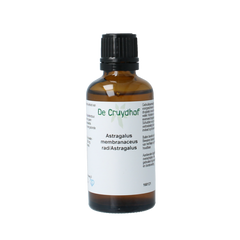 Cruydhof Astragalus membranaceus radix tinctuur 50.00 Milliliter