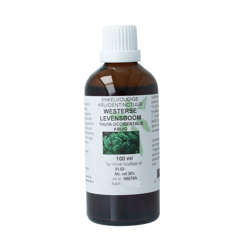 Cruydhof Thuja occidentalis / levensboom tinctuur 100 Milliliter