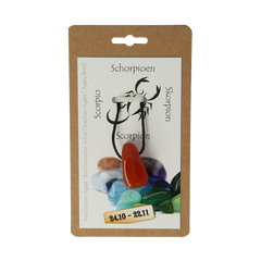 Steengoed Sterrenbeeldhanger schorpioen  1 Stuks