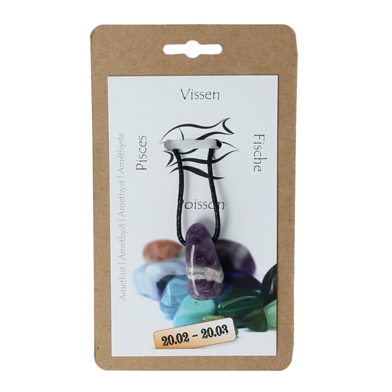Steengoed Sterrenbeeldsteen hanger vissen 1 Stuks