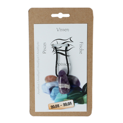 Steengoed Sterrenbeeldsteen hanger vissen 1 Stuks