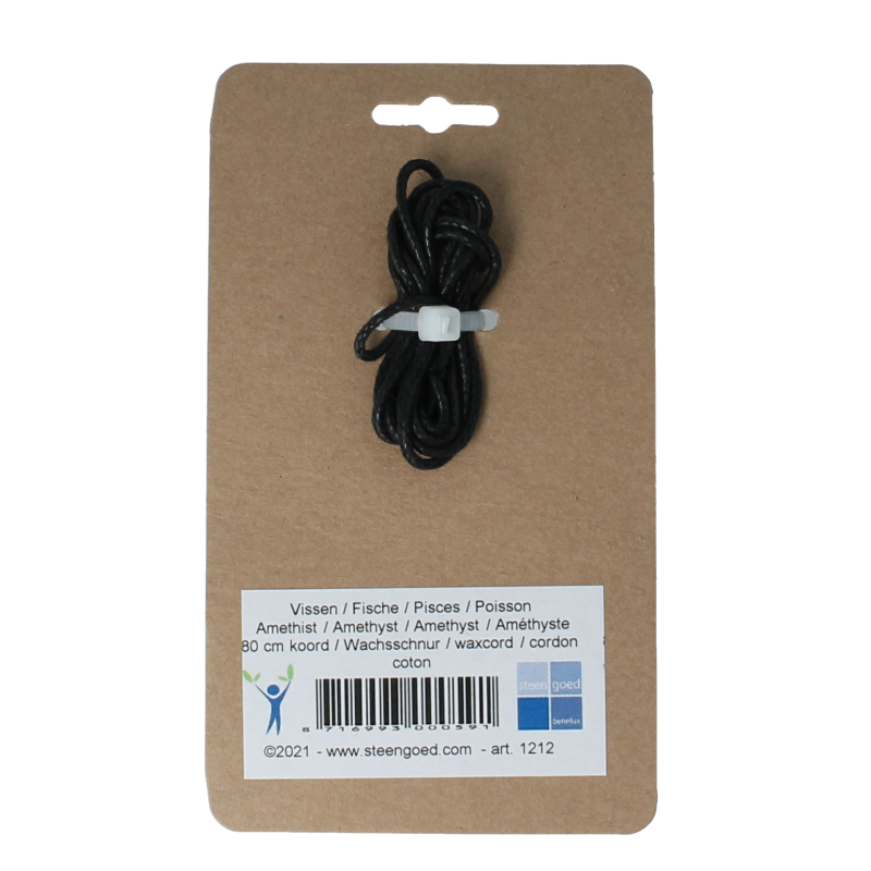 Steengoed Sterrenbeeldsteen hanger vissen 1 Stuks