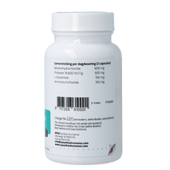 RPSH Sana Intest Gaster - Vegan 120.00 Capsules