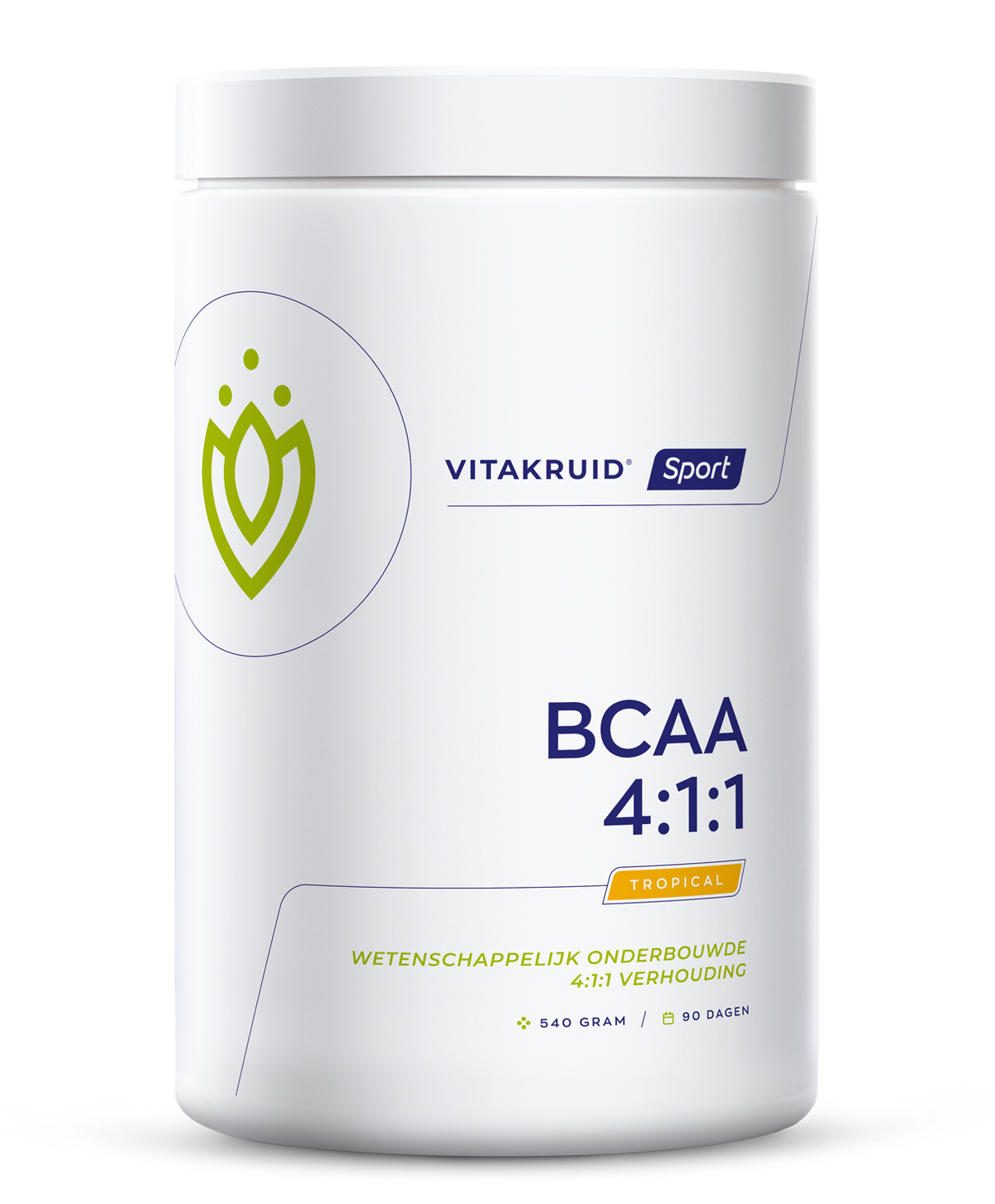 Vitakruid BCAA 4:1:1 l-leucine, l-isoleucine & l-valine 540 Gram