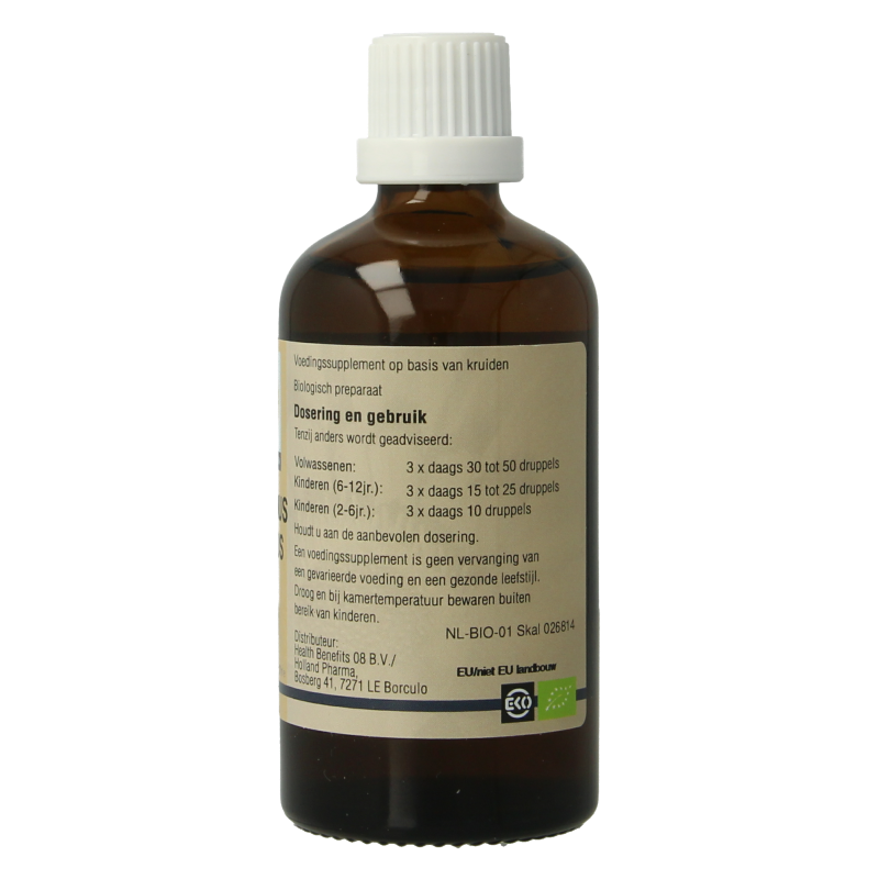 GO Carpinus betulus 100 Milliliter