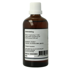 GO Corylus avellana 100 Milliliter