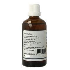 GO Sorbus domestica bio 100 Milliliter