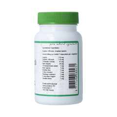Surya Ajmodadi batak 60.00 Stuks