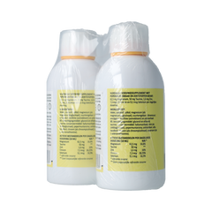 Silidyn Liposomal Magnesium Compl 250ml AKTIE 1+1 gratis 500.00 Milliliter