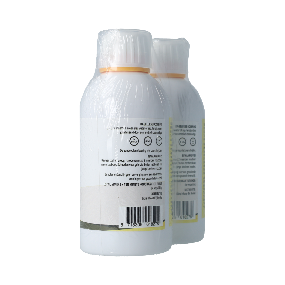 Silidyn Liposomal Magnesium Compl 250ml AKTIE 1+1 gratis 500.00 Milliliter