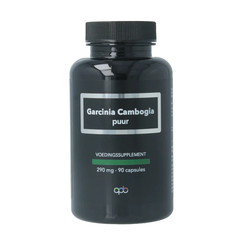 APB Holland Garcinia cambogia puur 290mg 90 Vegetarische capsules