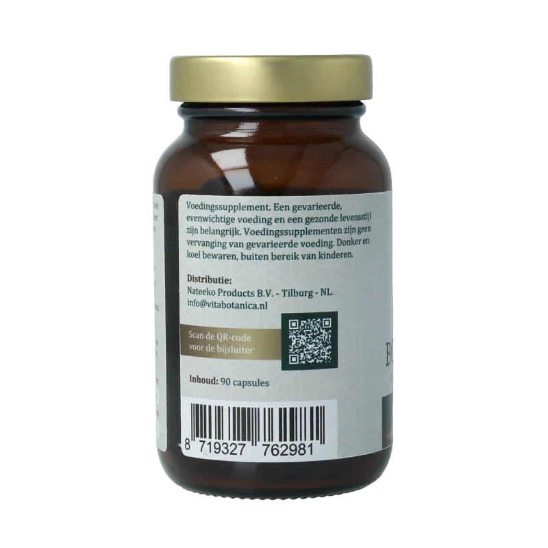 Vita Botanica Shilajit 90 Capsules