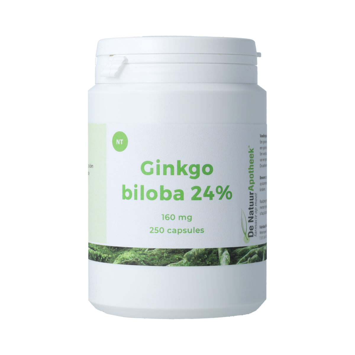 Natuurapotheek Ginkgo biloba 24% 160mg 250.00 Capsules