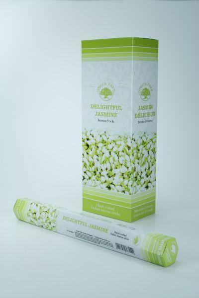 Green Tree Wierook delightful jasmine 20 Stuks