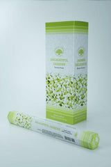 Green Tree Wierook delightful jasmine 20 Stuks