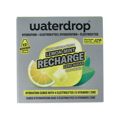 Waterdrop  Microlyte lemon mint 12.00 Stuks