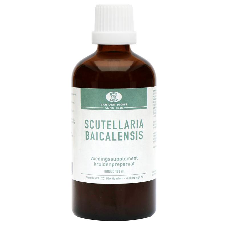 van der Pigge Scutellaria baicelensis tinctuur 100.00 Milliliter