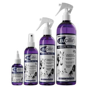 Leucillin Dropper 50.00 Milliliters