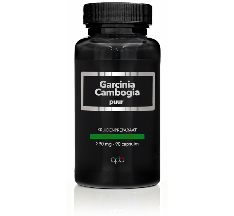 APB Holland Garcinia cambogia puur 290mg 90.00 Vegetarische capsules
