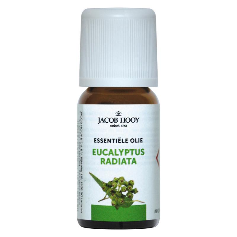 Jacob Hooy Eucalyptus radiata olie 10 Milliliter