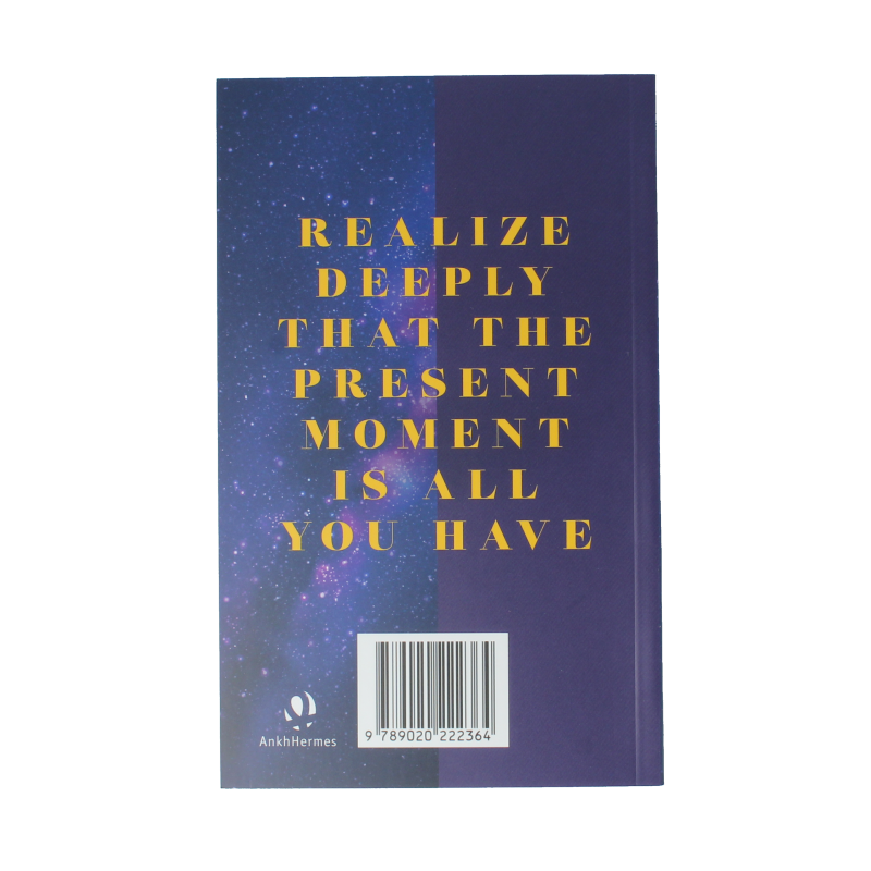 Ankh Hermes De kracht van het nu in de praktijk 1 Boek